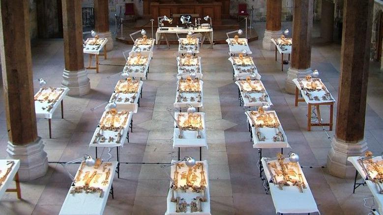 Twenty one tables set out in a large hall all which have sekeletal remains on display. The tables are set apart from each other and are all lit up by a lamp.