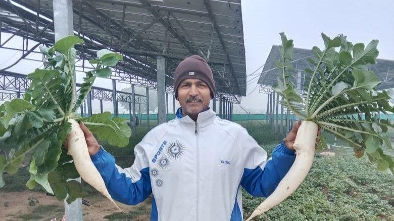 Wearing a brown beanie hat and white sports jacket, Harpal Dagar holds up, either side of him, two large, white root vegetables. Behind him you can see solar panels, on frames, about 12 feet in the air.