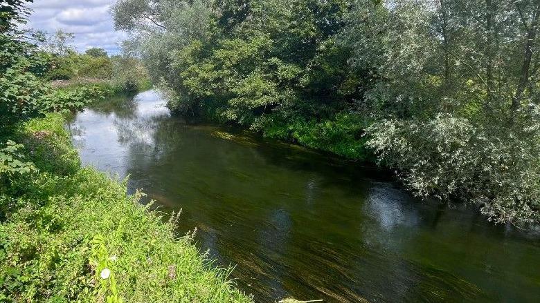 The River Wensum at Hellesdon, showing a wide, winding body of water with trees on the bank 