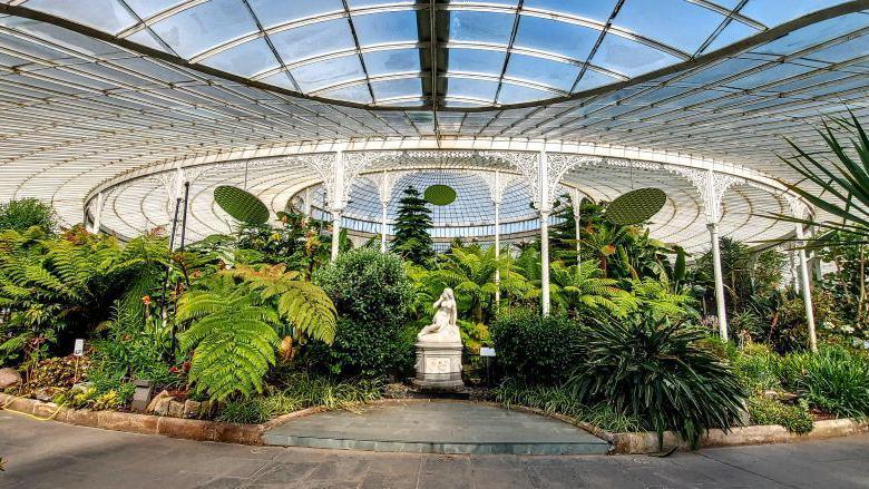 Interior of the Botanic Gardens in Glasgow, a vast expanse of glass panels over greenery and a statue.