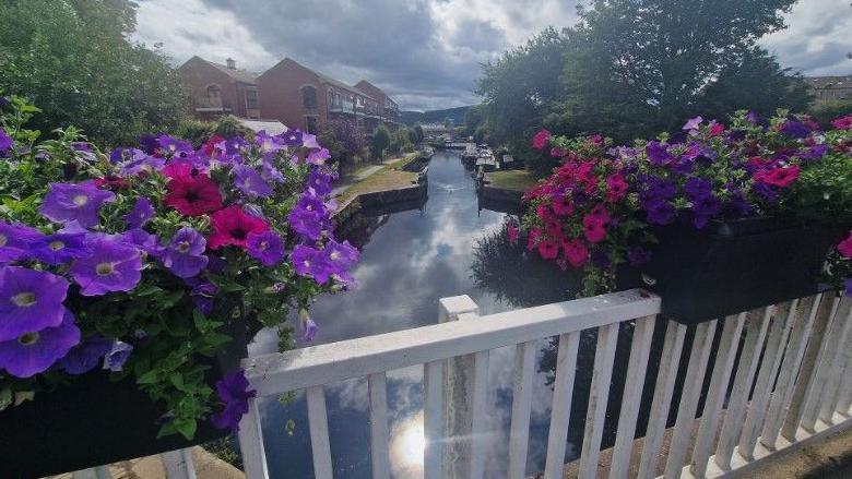A display of purple and pink flowers in black planters on a bridge with white railings overlooking the canal in Mirfield. There are buildings and boats in the background.