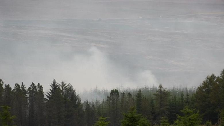 White smoke billowing from trees and woodland