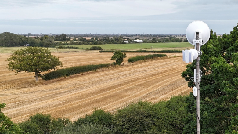 A light brown agricultural field with a big, green tree in the middle of it, and a post with satellite dishes on it