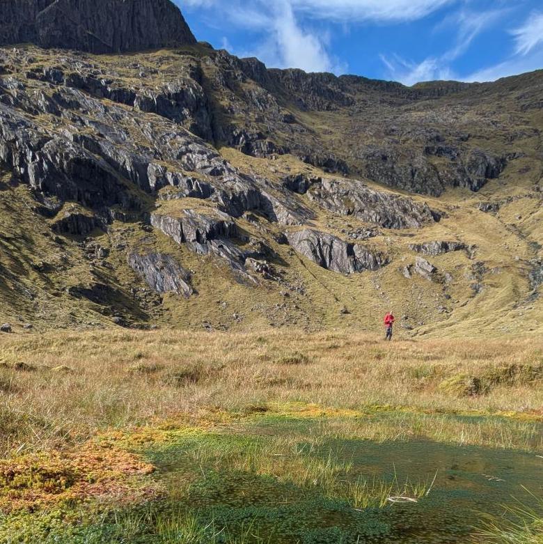 Bog is the foreground. In the distance are steep mountain cliffs.