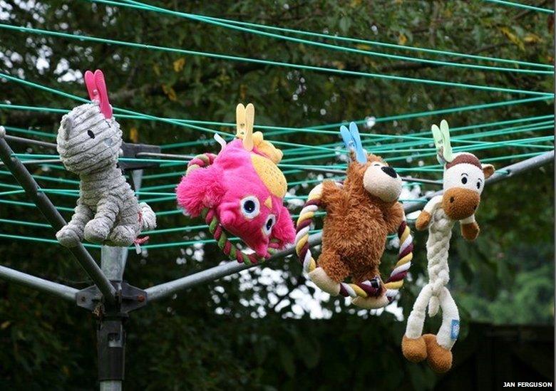 Toys on a washing line