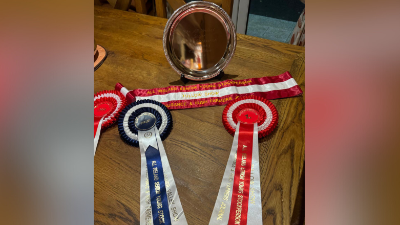 Three ribbons are on a table. Two are red and one is blue. One is a first place ribbon.