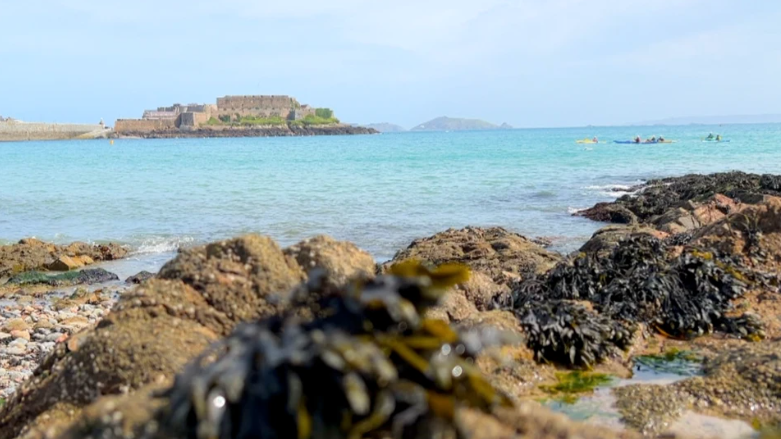 St Peter Port looking over Castle Cornet. Rocks and and seaweed line the shore next to the water. The castle can be seen in the distance.