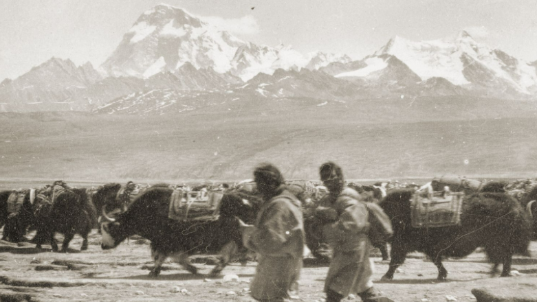 Photograph of two men, a herd of animals and mountains behind