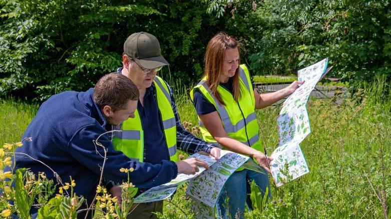 Peckover House team members and volunteers taking part in a biodiversity survey at Harecroft playing field.