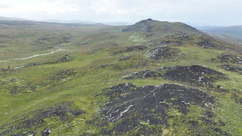 Charred landscape