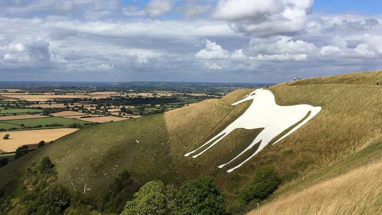 A large white horse carved into the side of a hill. In the distance there are lots of square fields separated with hedges.
