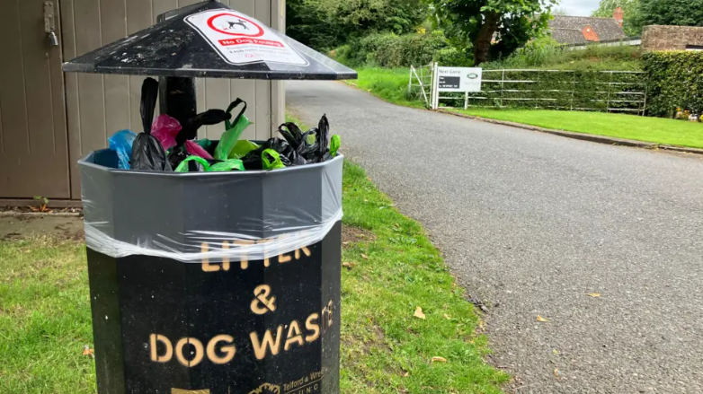 A bin full of dog poo bags in a park.