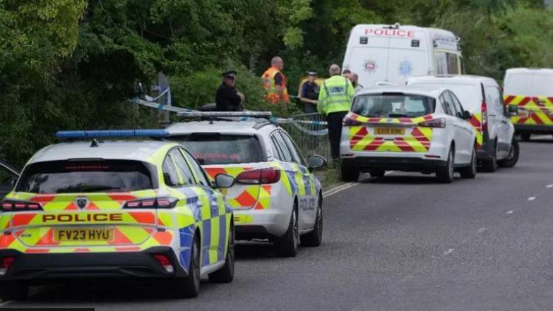 A line of police cars, plus a van, on a road lined with trees