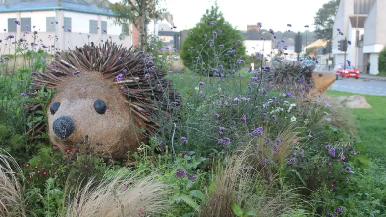 The hedgehogs at their best in 2019 when the roundabout won Roundabout of the Year