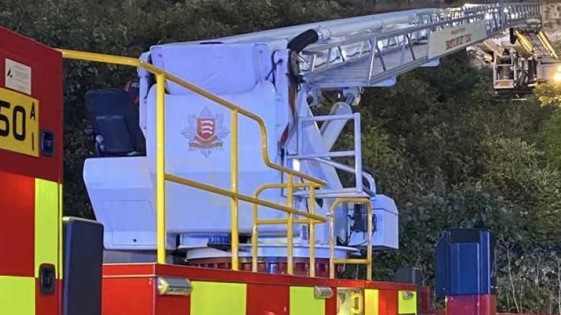 A fire engine with extended ladder next to brambles on an embankment