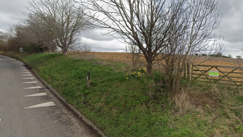 Google Street View shot of the field with trees and a wooden gate