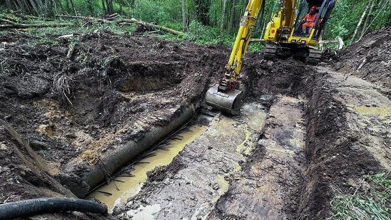 A yellow digger removing earth around a water pipe in woodland in East Sussex.