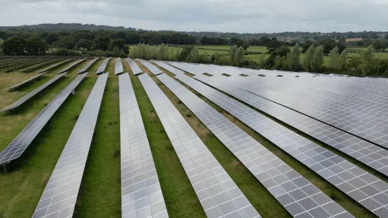 Rows of solar panels in a field, with trees and fields in the background.