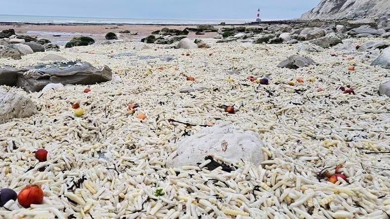 
Thousands of chips covering a section of a beach. There are plastic bags and onions as well.