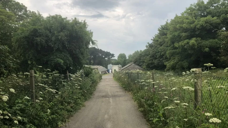 Farm in Guernsey