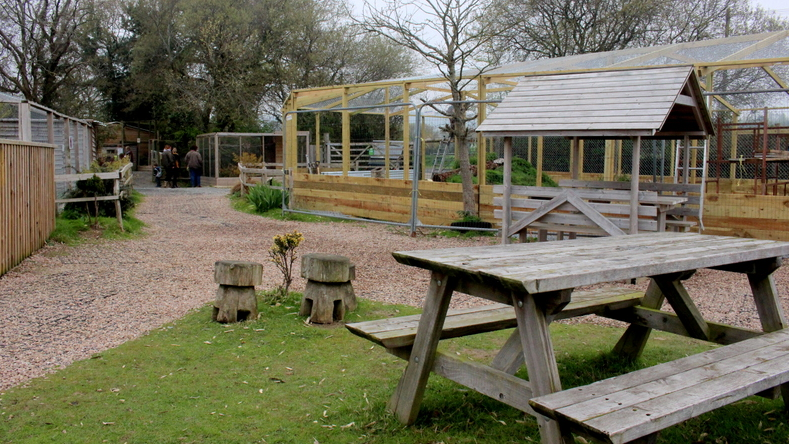 This image shows an outdoor area of an animal sanctuary. There is a wooden picnic table on a grassy patch in the foreground and in the background, there are wood and wire mesh structures, likely animal enclosures. Gravel pathways lead through the area, which is surrounded by trees. A few people are visible near one of the enclosures.