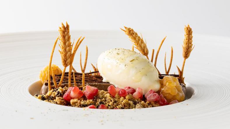 An elaborate chocolate desert involving multiple ingredients and of chocolate, fruits and wheat.