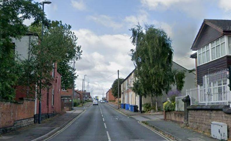 Street view. Houses with blue and grey wheelie bines outside line a grey-coloured roadway.