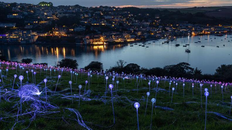 A close up of the fibre optic stems at dusk. The orbs at the end of the stem glow blue, as do the fibre optic cables that connect them together. The cable is in a bundle on the ground to the right of the image. In the background you can see Salcombe.