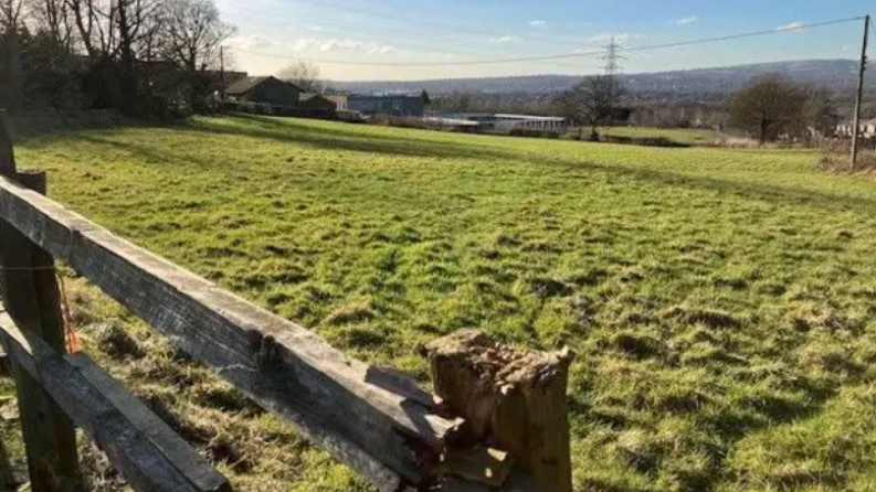 A shot of a sunny green field at Earls Farm, with a section of wooden fence in the foreground