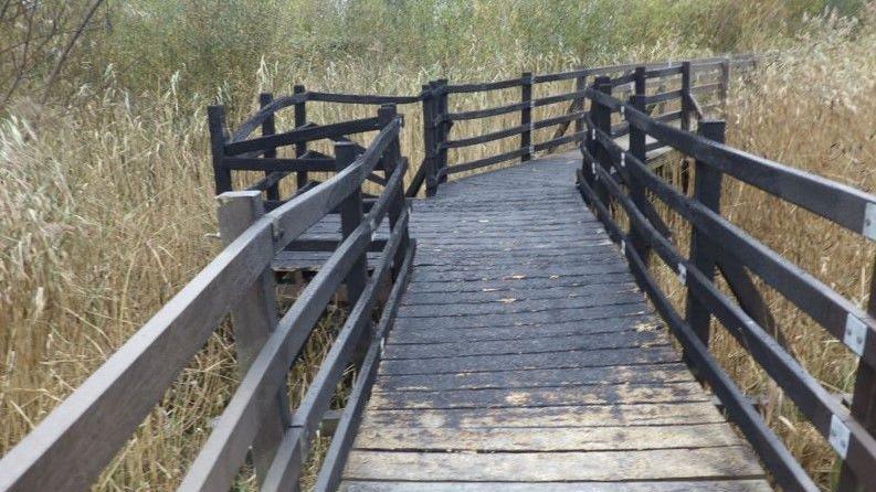 Wooden footbridge over grassland area with long reeds and grasses. The wood is black where it has caught fire and collapsed in certain areas