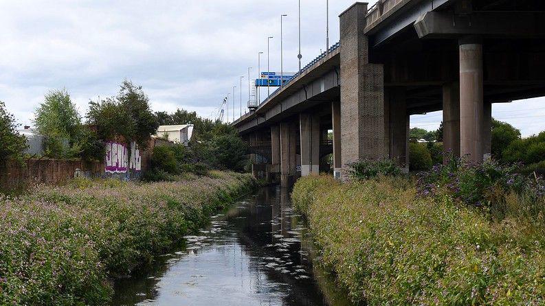 The motorway towers on stilts above a canal with greenery either side. There is some graffiti on walls in the background. 