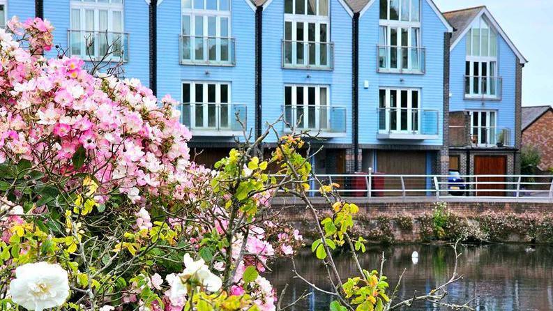 Blue houses behind a flower bush 