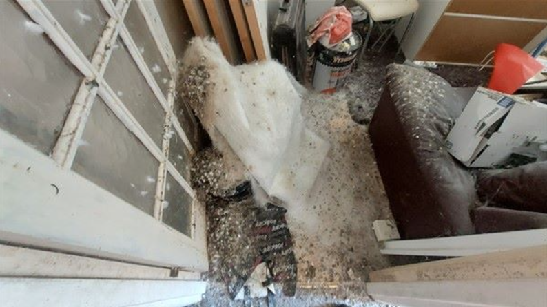 Pigeon droppings on the floor of a room, beside a disused sofa