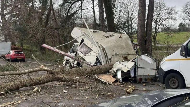 A caravan crushed by a tree on a road. Parked behind the caravan is a white van. Parked a couple spaced in front of the caravan is a red car. The tree which has landed on the caravan is lying on the road. In the background are more trees and Central Park.