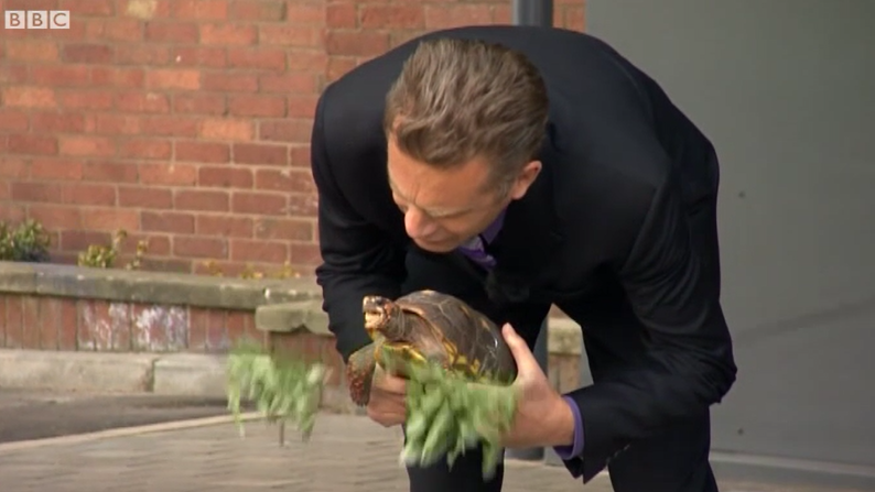 Darwin the tortoise officially opens a building at the University of Lincoln