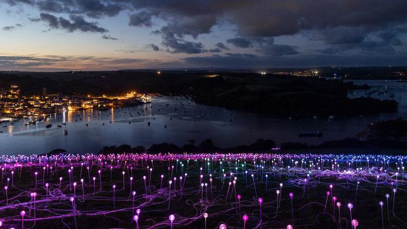 A close up of the fibre optic lights looking down onto Salcombe harbour. It is night and you can see the town lit up in the background. In the foreground the lights have a purple glowing orb at the top and the fibre optic cabling, which also glows, runs into the ground.