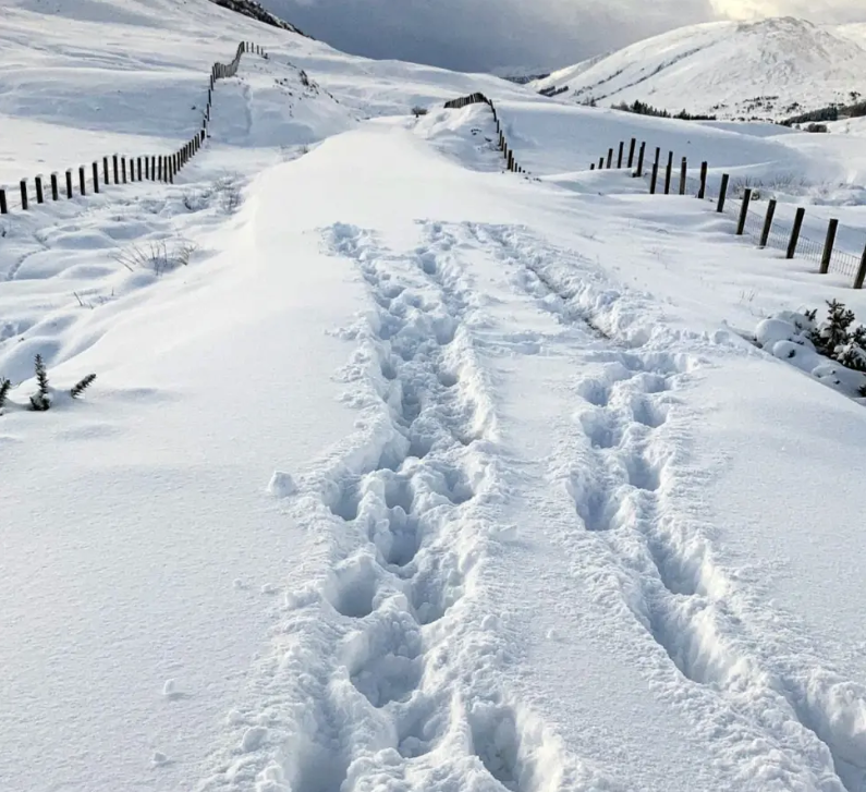 Dealbh de loidhne-rèile Chaol Loch Aillse fon t-sneachd