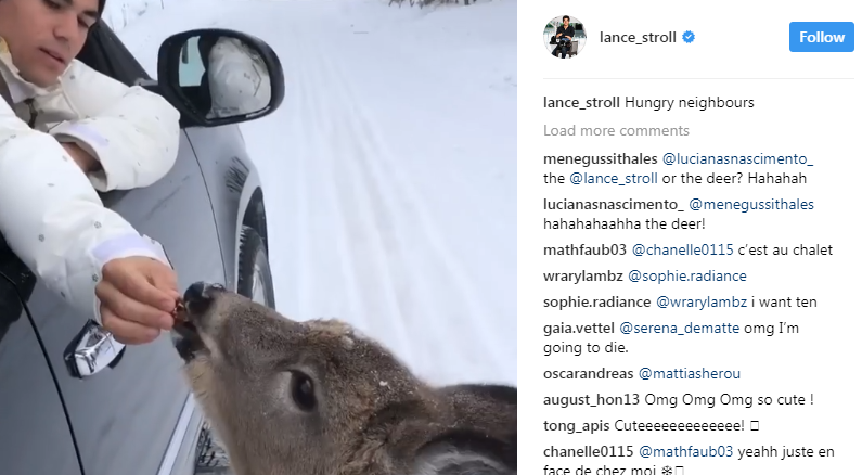 Lance Stroll feeding a deer