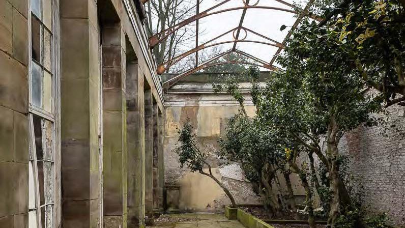 The derelict inside of the Camellia House. It has the remains of Camellia bushes in beds to the right of the building, broken windows, and no roof.