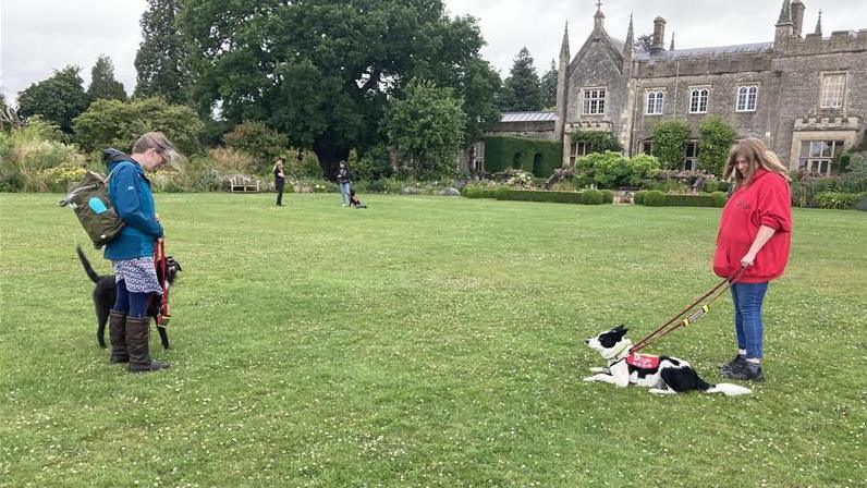 Eva stands to the left in a field with her dog Katie at her side while Ruby stands a few metres opposite holding Milo on a lead, he is lying down on the grass