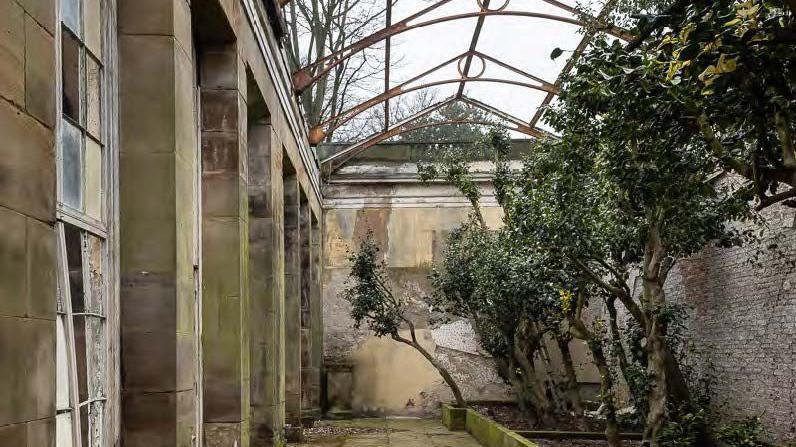 The roofless camellia house in a state of disrepair