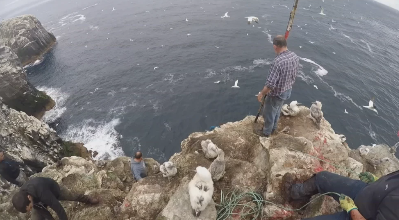 Fireannaich air na creagan ann an Sùlasgeir agus iad ann a' sealg a' ghuga