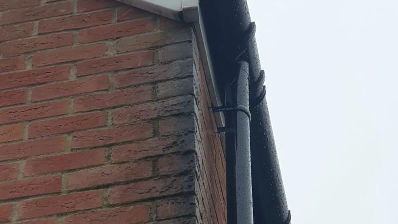 Wet moss and stained black bricks on the corner of Dean's house near the roof