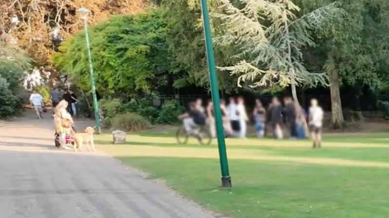 A group of teenagers gathering in a public garden.