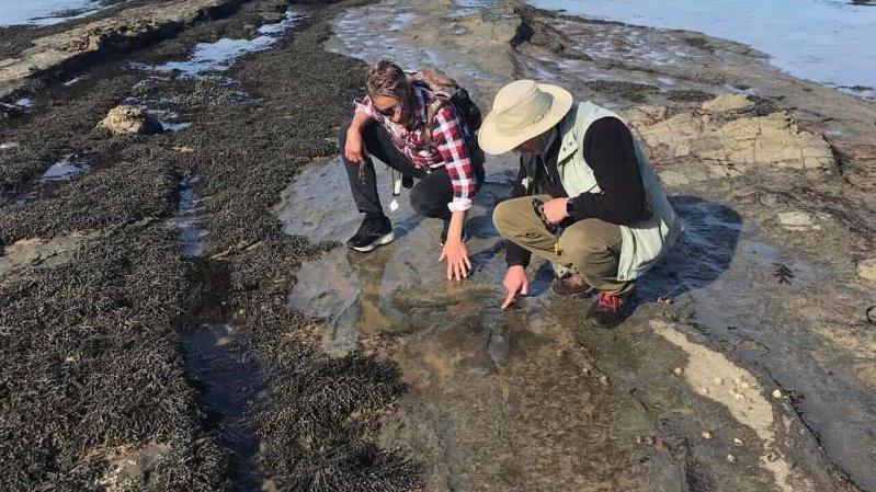 Two people reaching down to examine the ground on a rocky beach