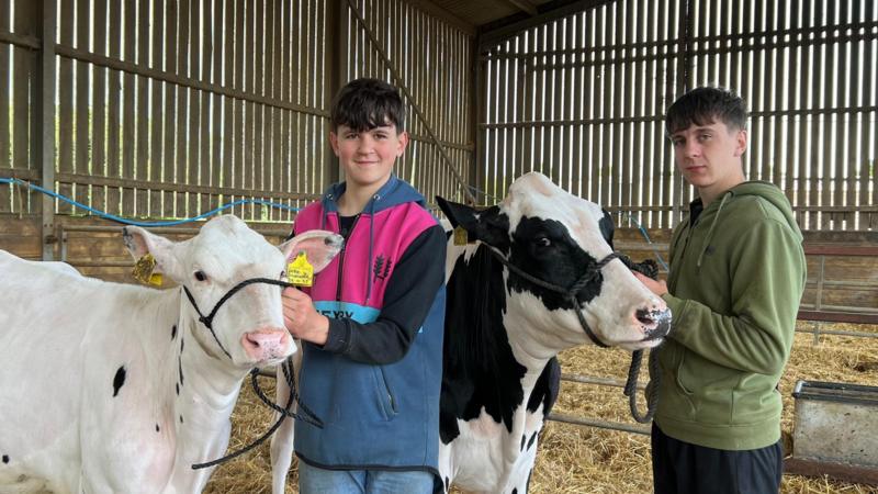 Farmers' warning as milk prices fall below cost