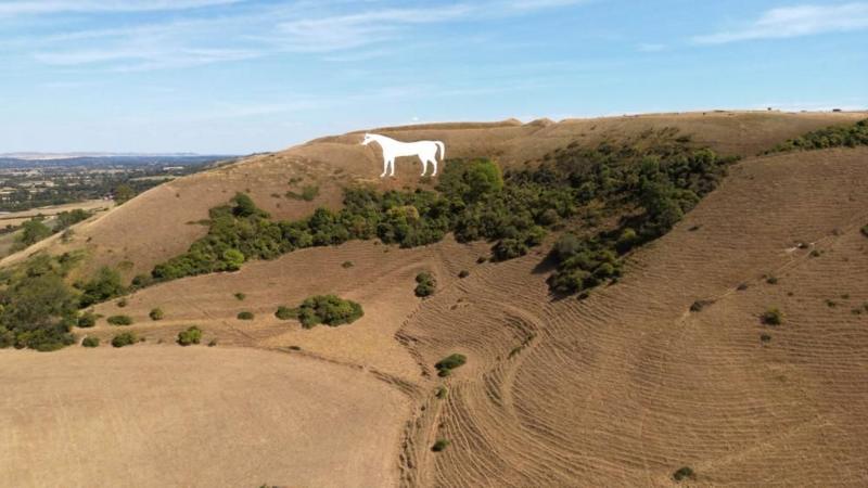 Drought expected to be declared in more parts of England