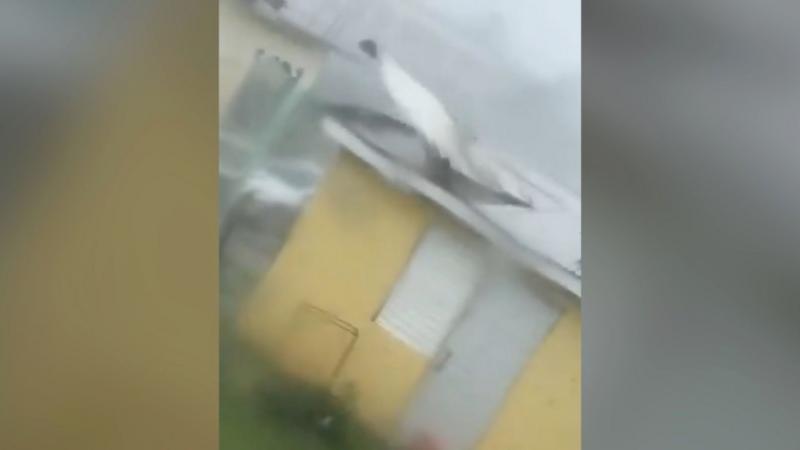 Watch: Strong winds and flying debris as Hurricane Melissa makes landfall