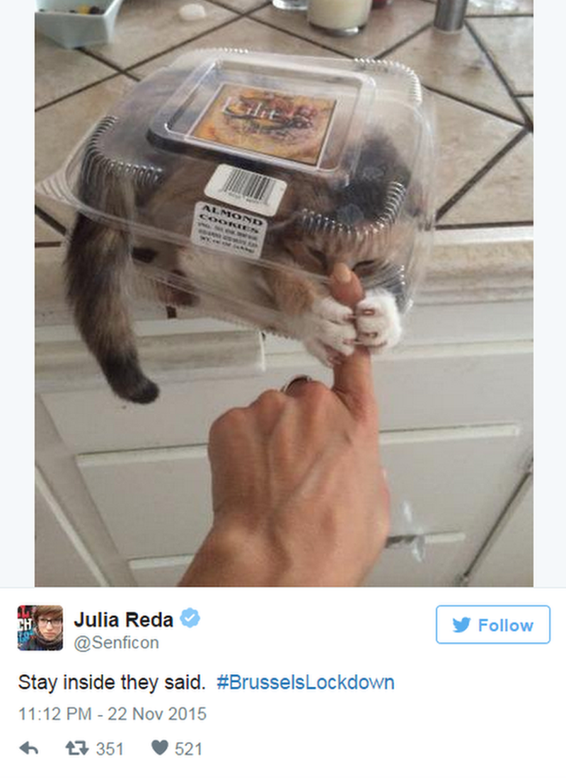 Julia Reda ‏tweets: Stay inside they said. #BrusselsLockdown