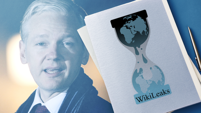 Julian Assange Bbc News